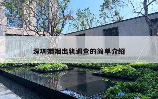 深圳婚姻出軌調(diào)查的簡(jiǎn)單介紹