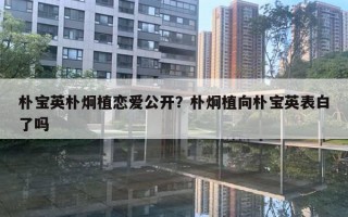 樸寶英樸炯植戀愛公開？樸炯植向樸寶英表白了嗎