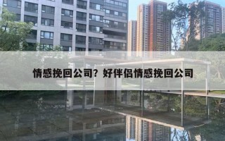 情感挽回公司？好伴侶情感挽回公司