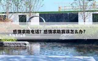 感情求助電話？感情求助我該怎么辦?