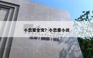 小戀愛全文？小戀愛小說