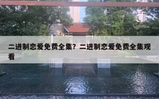 二進(jìn)制戀愛免費(fèi)全集？二進(jìn)制戀愛免費(fèi)全集觀看